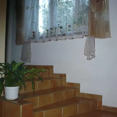 홈스테이 Goscinne W Gorach 코스실리스코