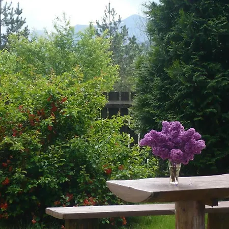 Goscinne W Gorach 홈스테이 코스실리스코